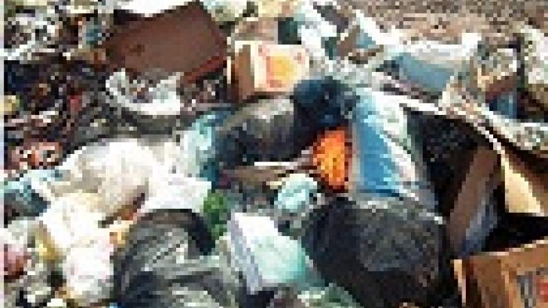 صيدا: تشغيل معمل معالجة النفايات خلال شهرين