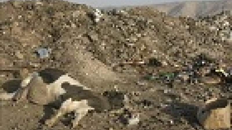 اتحادا بلديات السهل والبحيرة يتوافقان على إنشاء معمل للنفايات