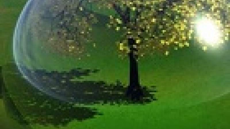 بيئتنا.. بيئة 