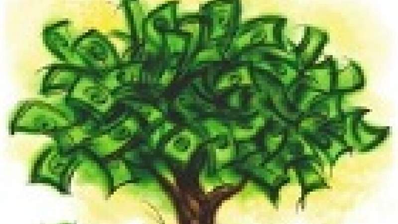 حان وقت الضرائب البيئية