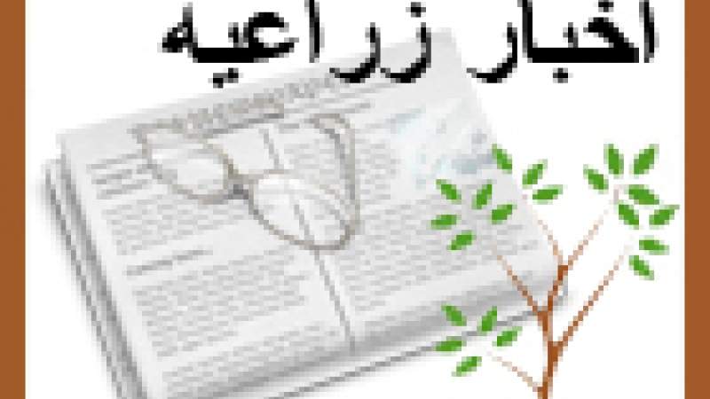 عادات غذائية ضروريّة لكل ولد
