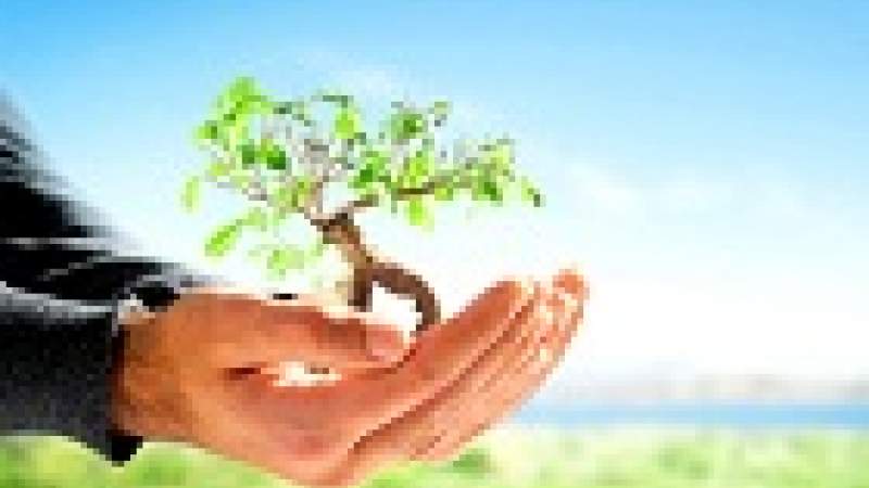 أخبار بيئية من هنا وهناك