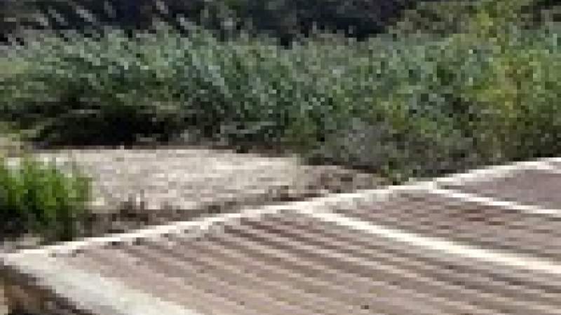 مشروع للصرف الصحي صديق للبيئة في رمحالا, محطة تكرير... تعتمد الحصى وزراعة القصب