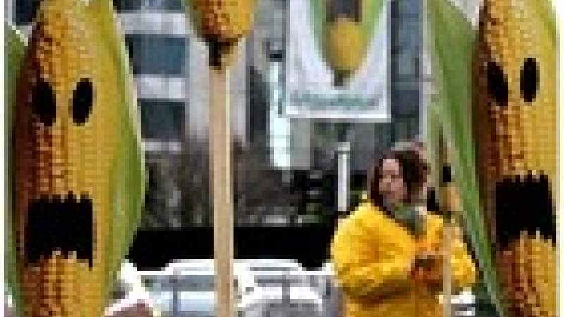 الكائنات المعدّلة جينياً تغزو لبنان بلا أية رقابة