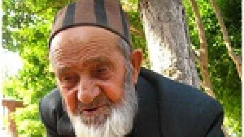 غذاء المسنين