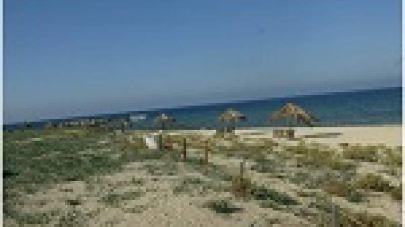 ورشة في طرابلس لتطوير شبكة المحميات البحرية في لبنان