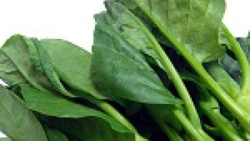 الخضراوات الورقية من أهم مصادر الغذاء الملوث والتّسمم الغذائي