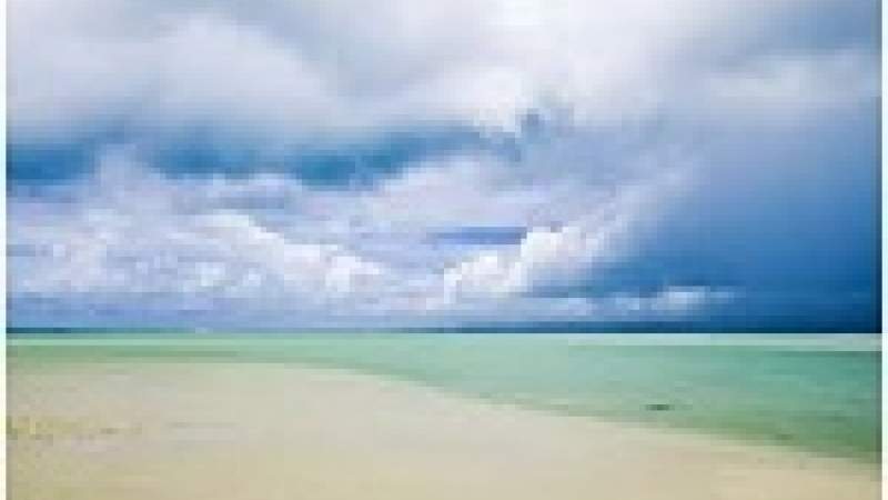 صور: حملة نظافة للشاطئ