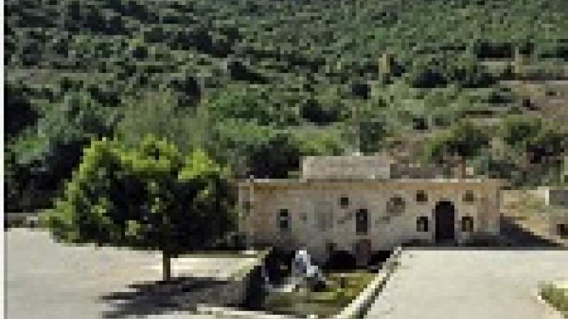 حماية محمية وادي الحجير