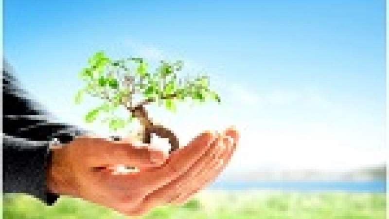 مشروع للاستفادة من آلية التنمية النظيفة