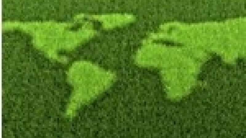 مشروع  اليوم الأخضر