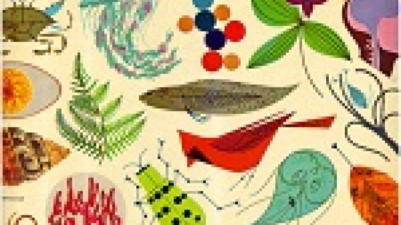 لبنان ينضم إلى بروتوكول قرطاجنة للسلامة الإحيائية