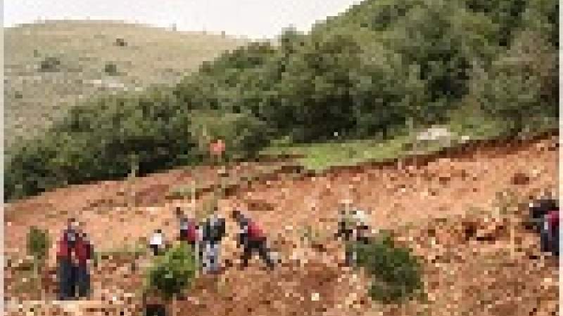 محمية وادي الحجير مشروع بيئي متعدد الأهداف