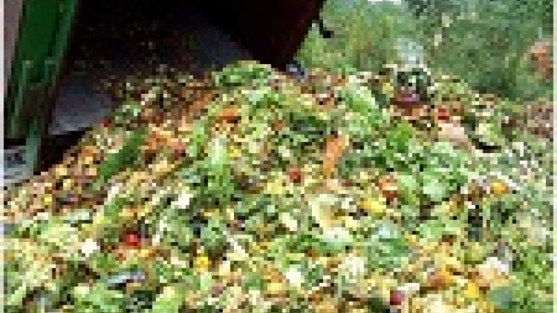 من يتسبب بهدر 1,3 مليار طن من الطعام كل عام؟