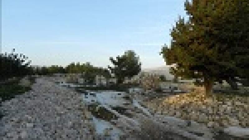 محمية إبل السقي ممر آمن للطيور المهاجرة