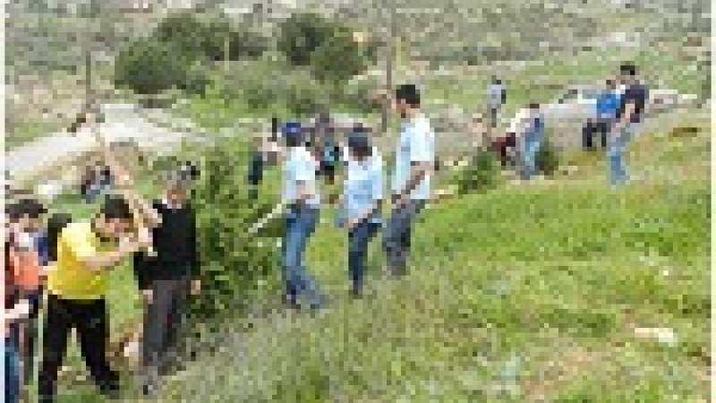 تخضير محمية أرز الكفير