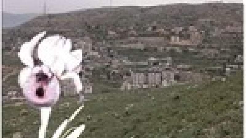 سوسنة صوفر تؤكد حضورها