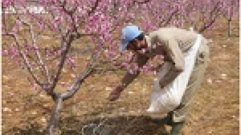 أمطار نيسان نعمة والعبرة في استغلالها 