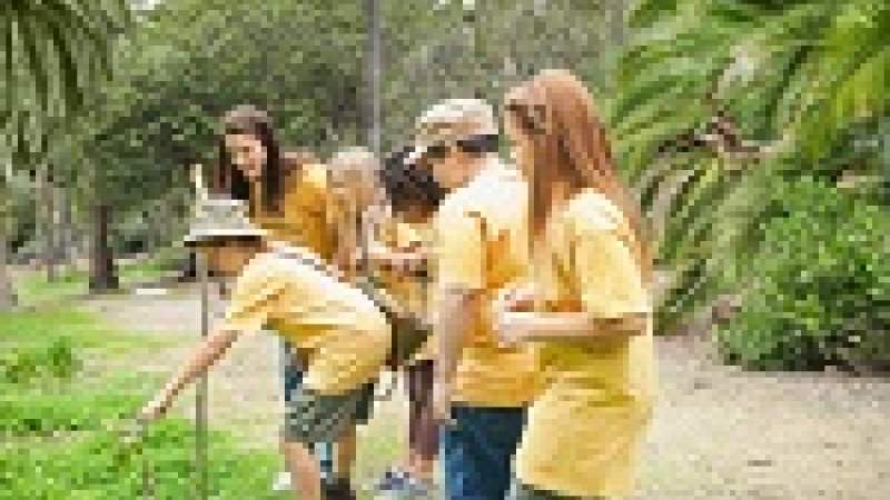 «المبرات»: البيئة للصغار