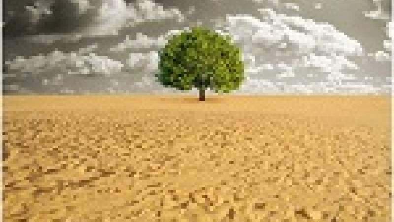 المهندسون الزراعيون يحذّرون من التصحر