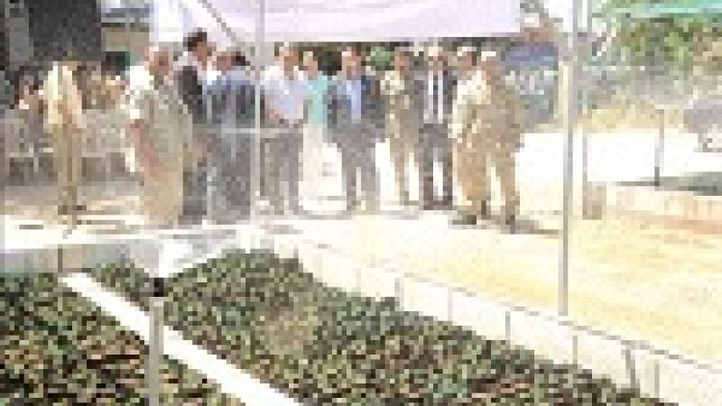 المساحة الحرجية % 13