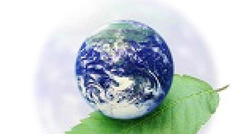 في المعنى العالمي للبيئة