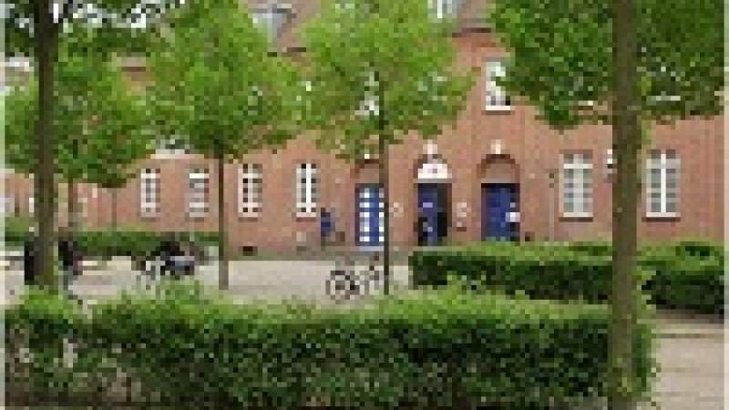 حماية البيئة... جامعة لويفانا الألمانية مثالا