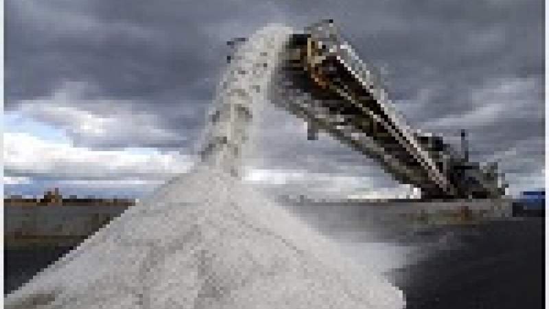 ماذا يحصل إذا أضيفت مادة سامة إلى أخرى أكثر سمية؟