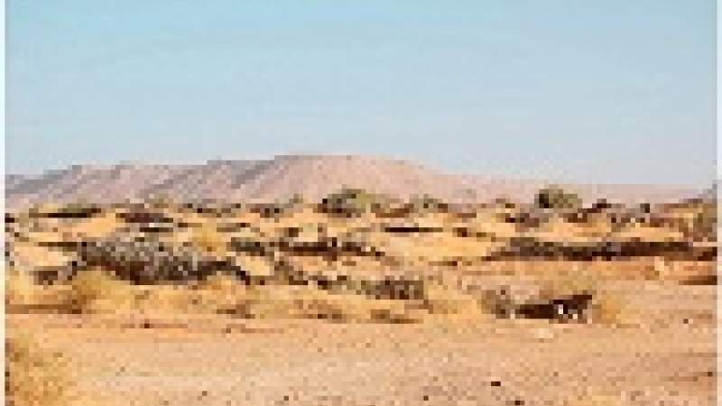 العقد الماضي شهد ظواهر مناخية متطرفة غير مسبوقة