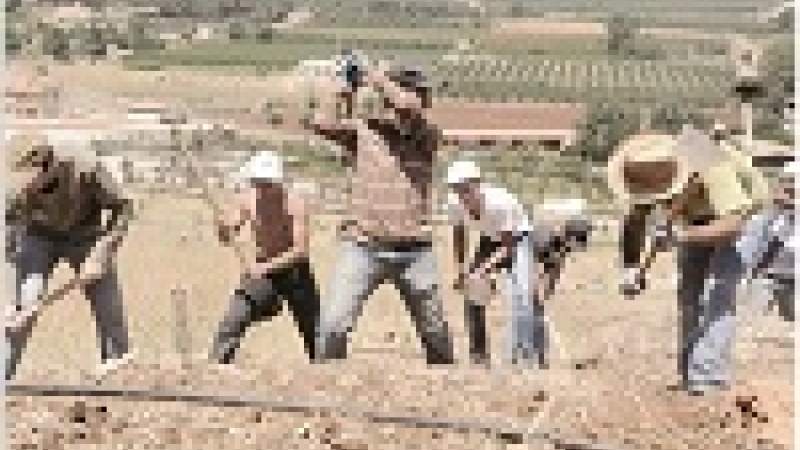 يوم بيئي في عنجر