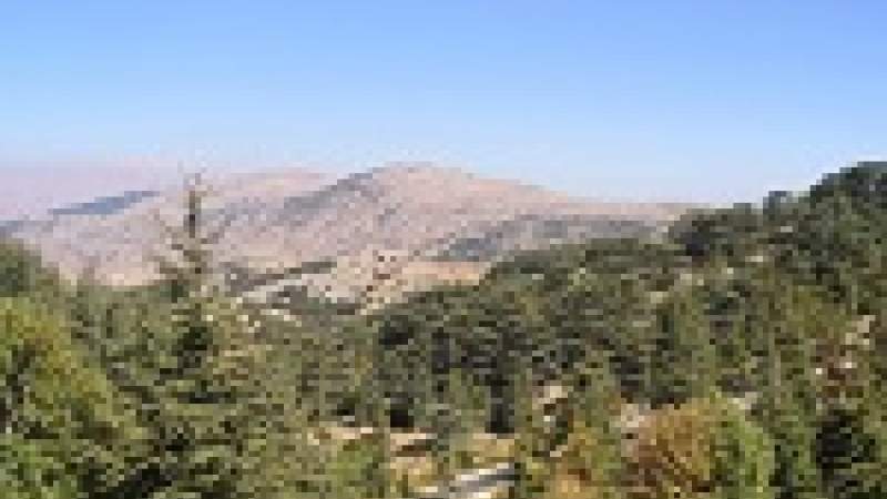 تغيّر المناخ يضرّ بالزراعات شبه البرية