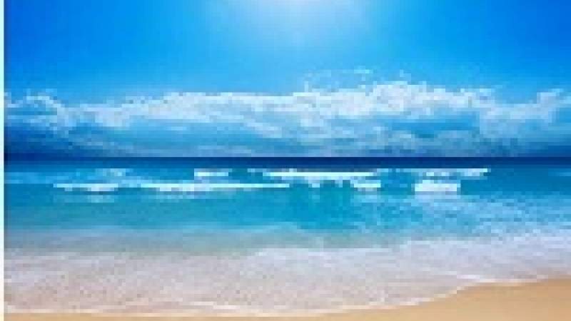 ظاهرة تحمض المحيطات تسببها التغيرات المناخية