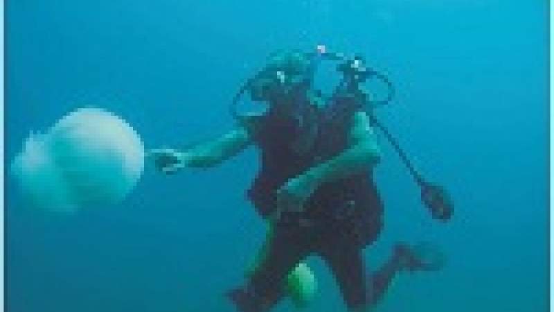 من ينقذ المحيطات من التحمّض والاحترار؟