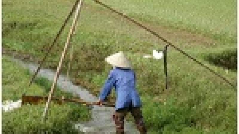 طرق الزراعة القديمة تكبح انقراض الحيوانات والنباتات