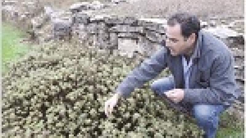 بحماية الطبيعة نحافظ على 