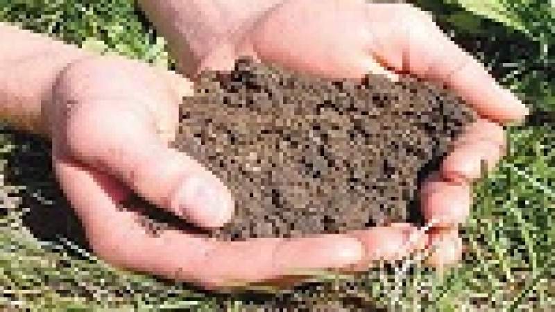 التغير المناخي يهدد خصوبة التربة في الشرق الأوسط