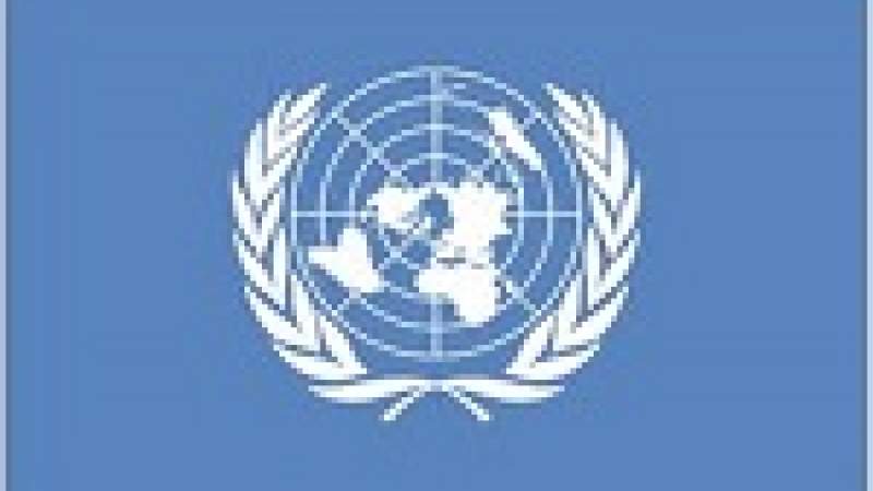 الأمم المتحدة تدشّن الصندوق الأخضر للمناخ