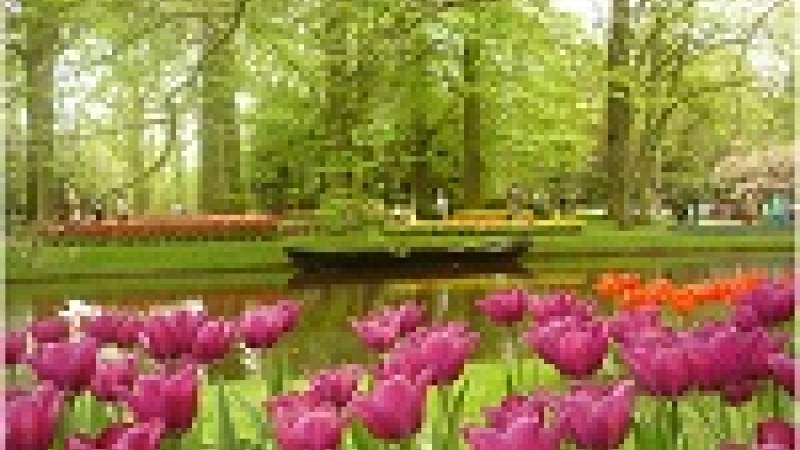 غياب الأزهار وراء انقراض حيوانات العصر الجليدي 