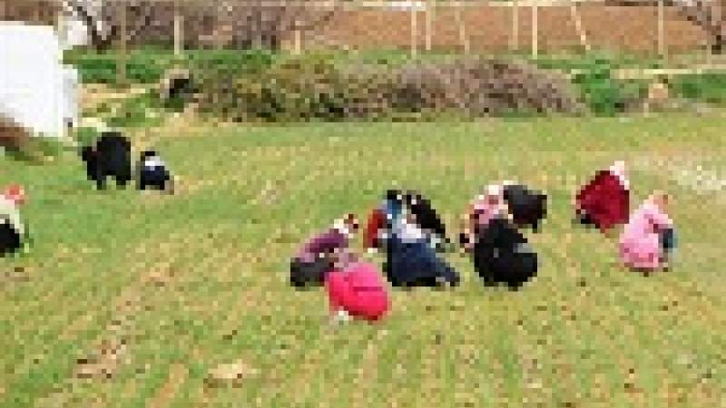 تداعيات انحباس الأمطار تلوث وغلاء أسعار