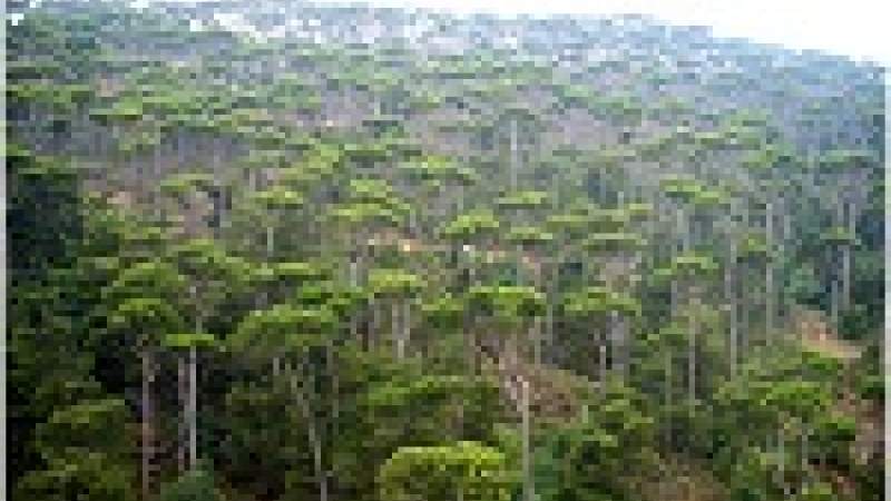 اليوم الوطني للمحميّات