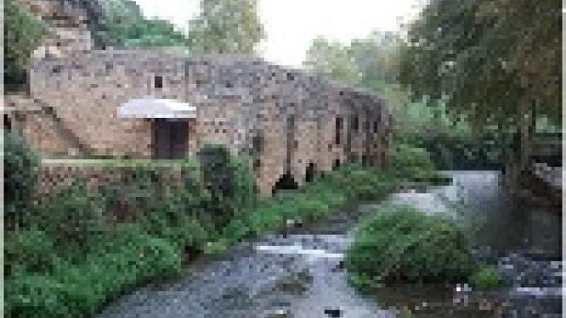 الأنظمة الغذائية التقليدية تخفف الأمراض الحديثة