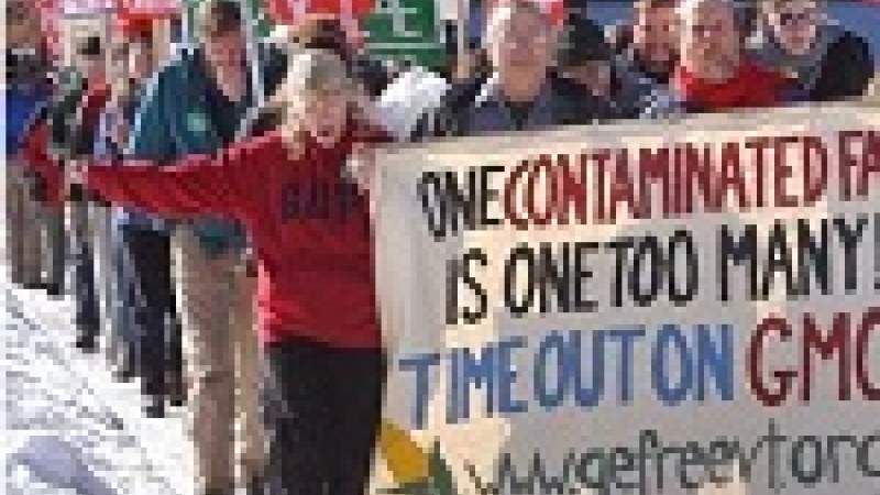 شركة «مونسانتو» تشرّع لنفسها التلاعب بجينات النباتات