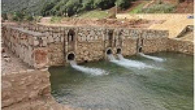 هل تصمد محمية وادي الحجير؟