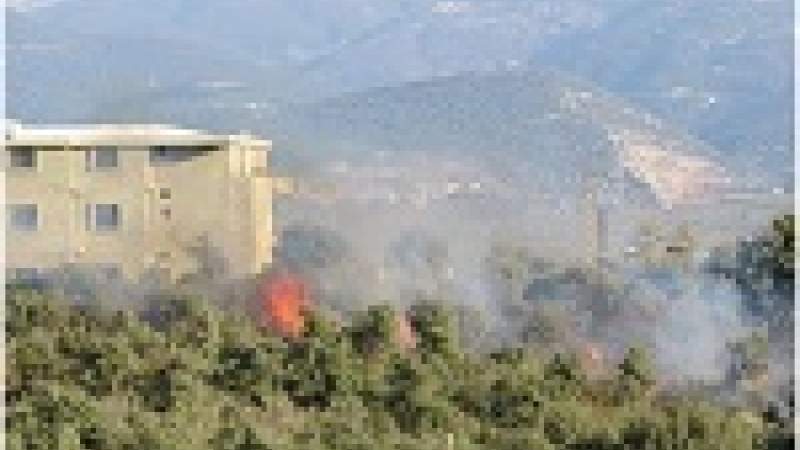 الحرائق تهدد أرز لبنان في العام 2040