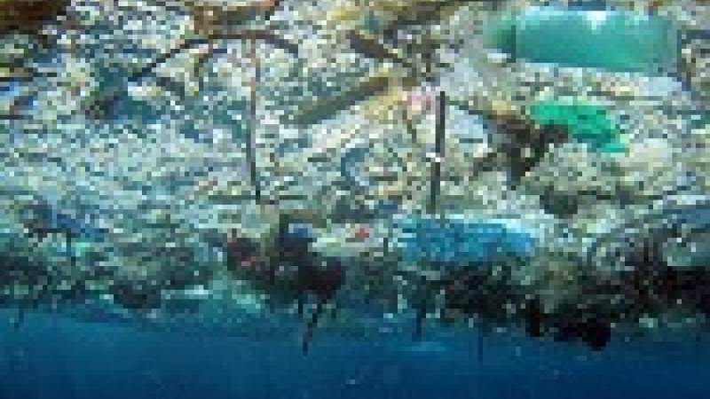 88 % من سطح محيطات العالم “ملوث” بالبلاستيك