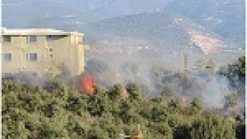 الحرائق تهدد أرز لبنان في العام 2040