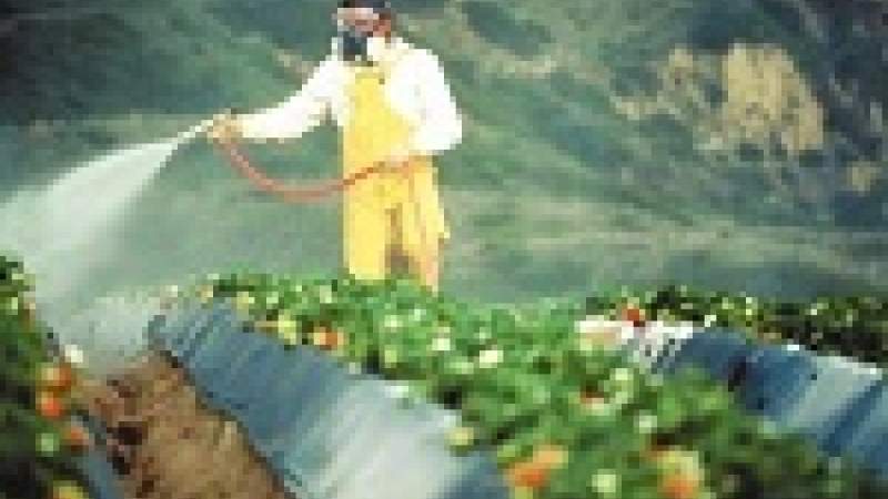 تهدّد الإنتاج العالمي للغذاء