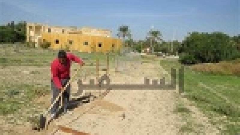 الممرات البيئية تحمي النباتات النادرة في محمية صور