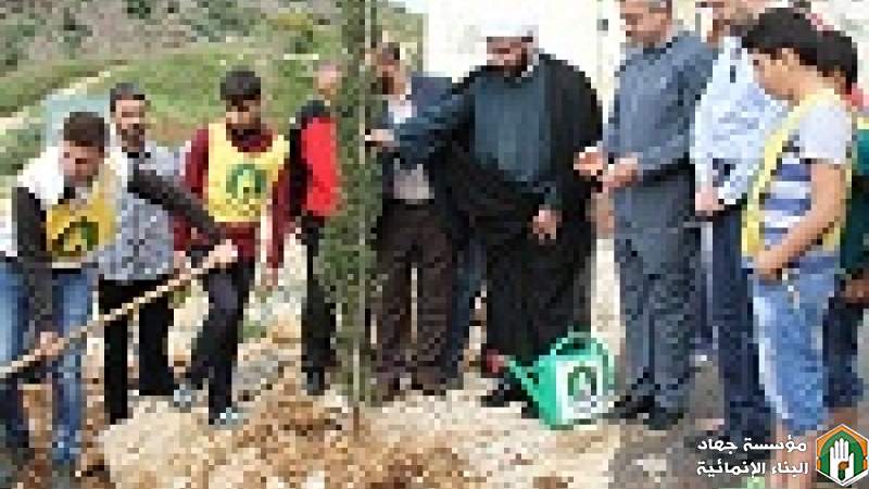 زراعة 1500 شجرة حرجية ومثمرة في حملات تشجير لمؤسسة جهاد البناء