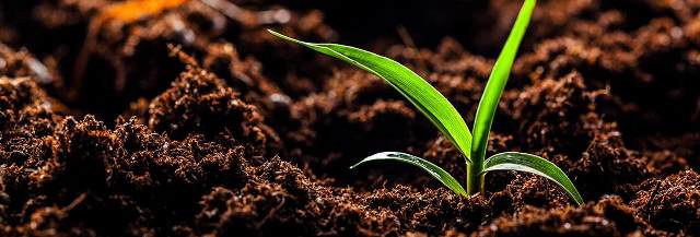 خصوبة التربة  - زراعة - لبنان